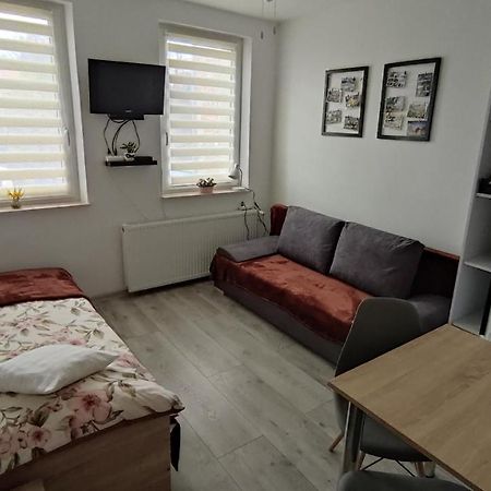 Apartmán Apartament "Jelen" Cieplice Jelení Hora Exteriér fotografie